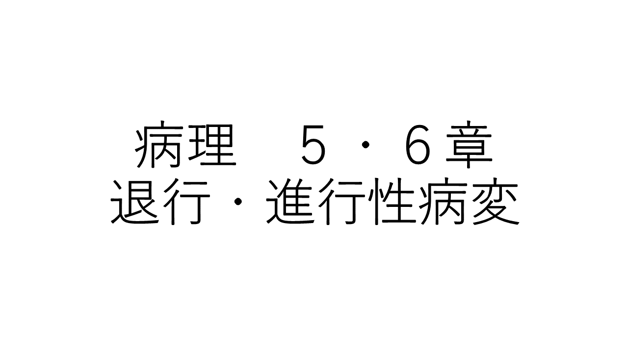 病理　５・６章